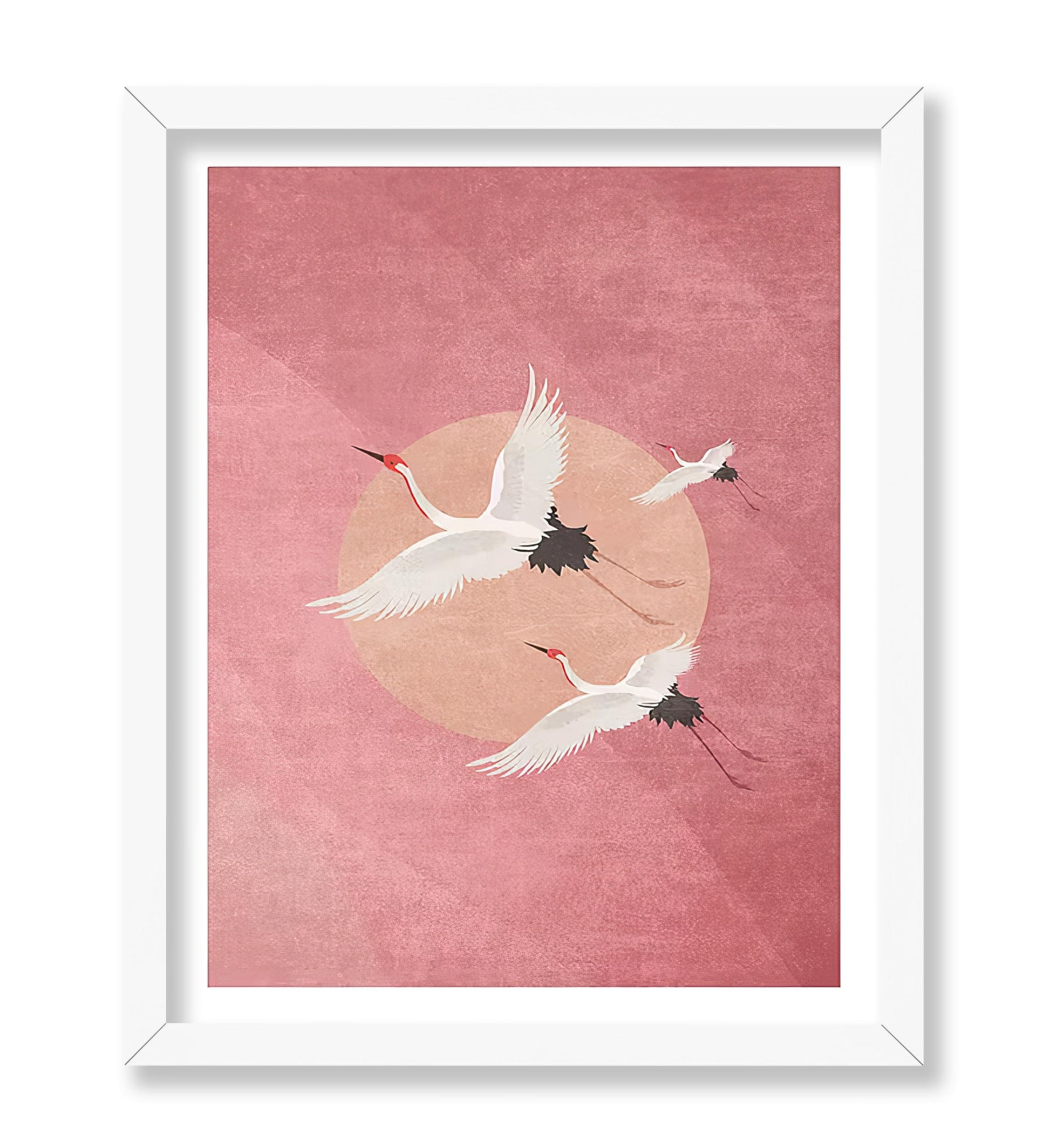 Flying Cranes, Pink Sky And Sun