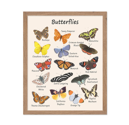 Butterflies No2