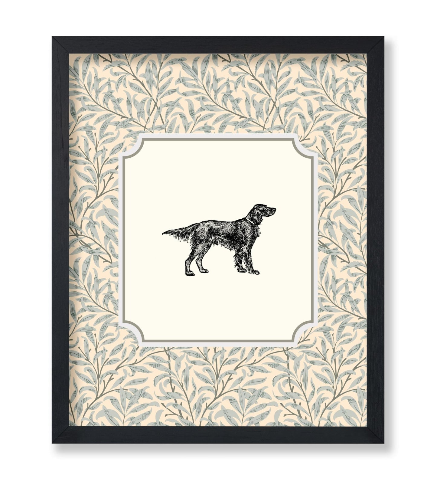 Irish Setter