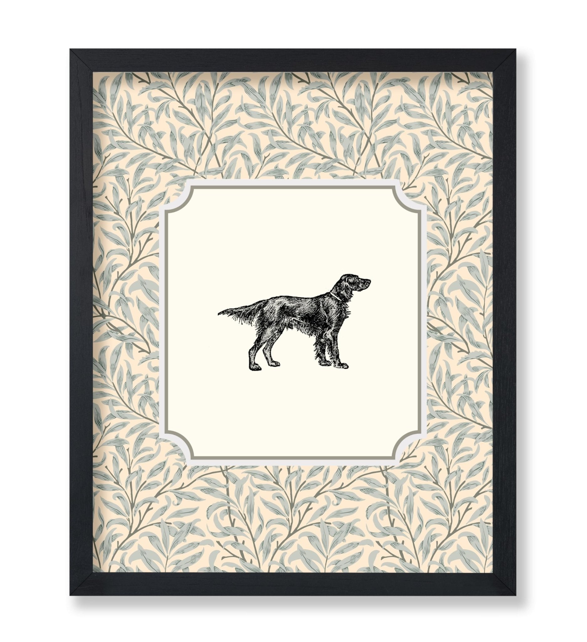Irish Setter