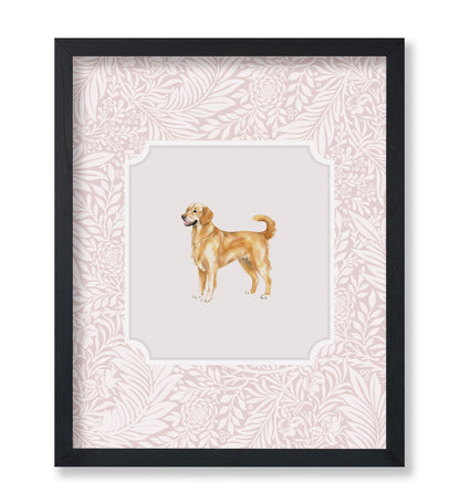 Golden Retriever No2