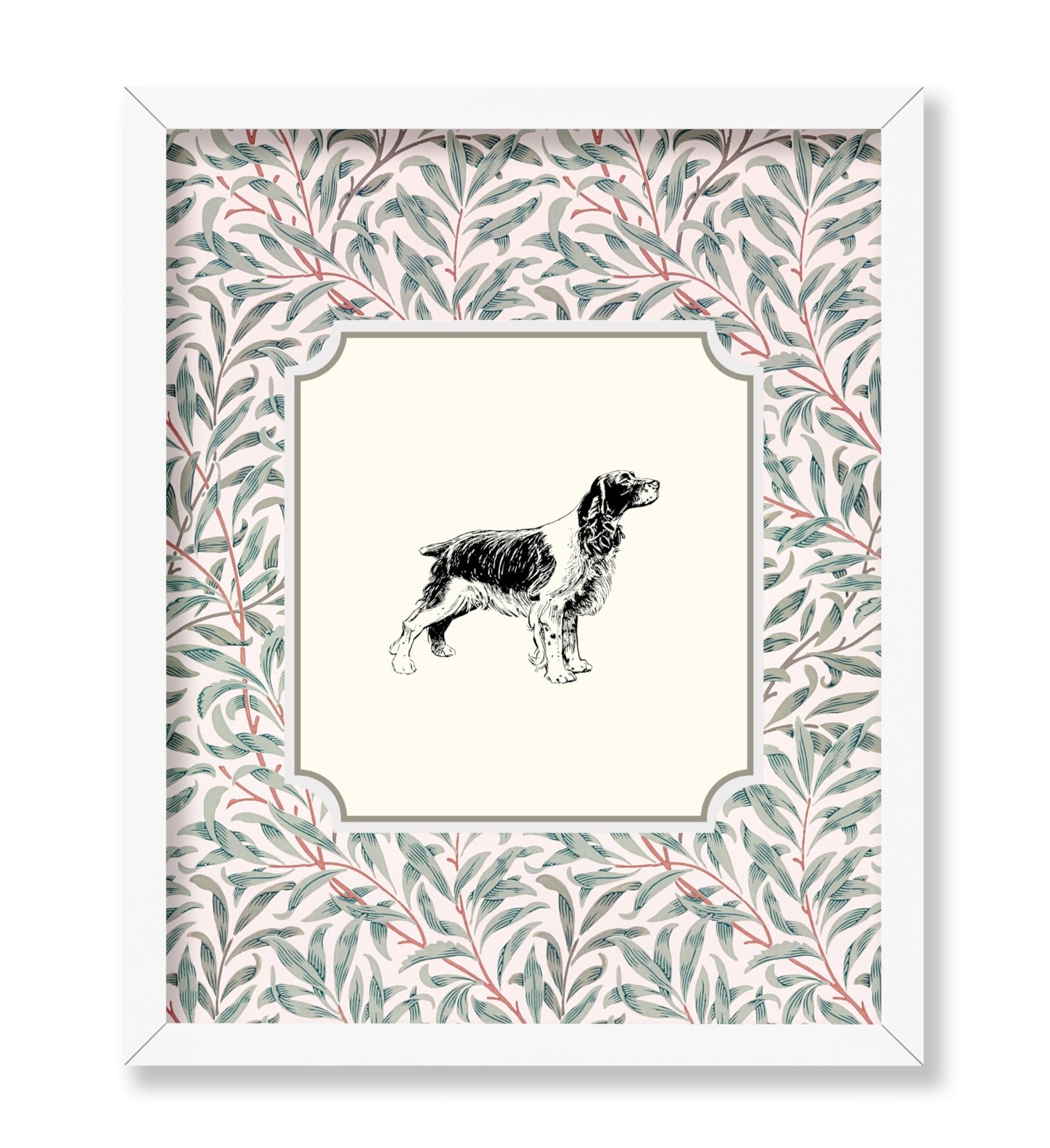 English Cocker Spaniel