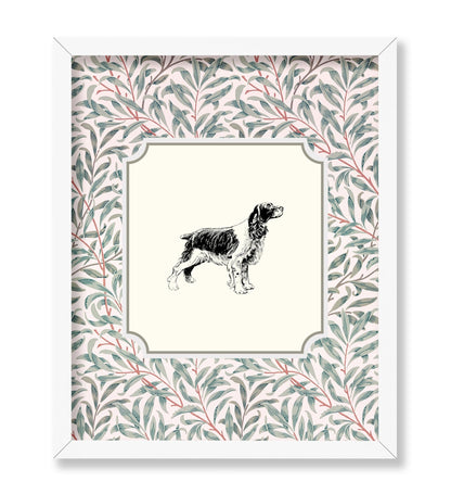 English Cocker Spaniel
