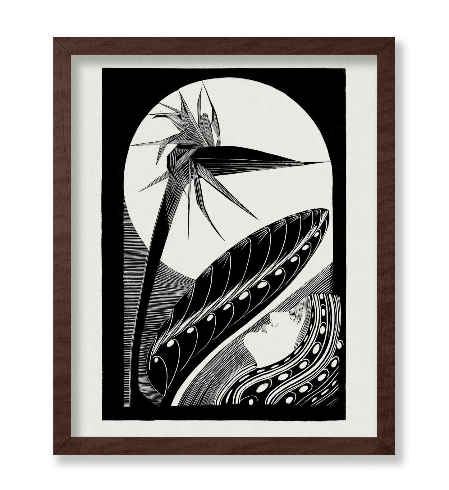 Strelitzia Overblown