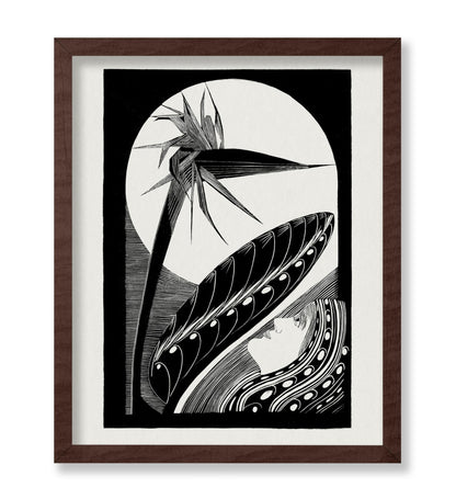 Strelitzia Overblown