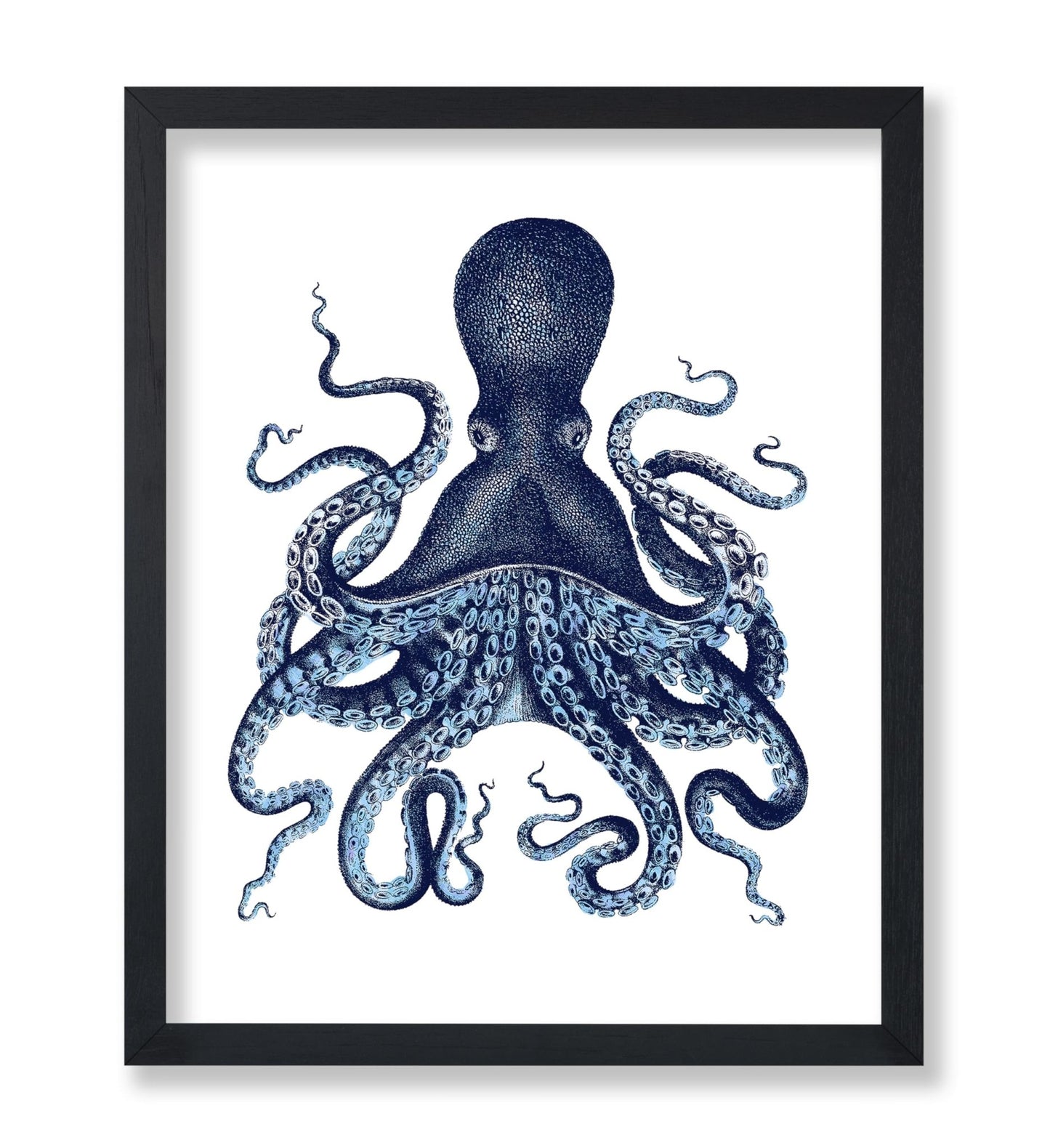 Aquatic Octopus