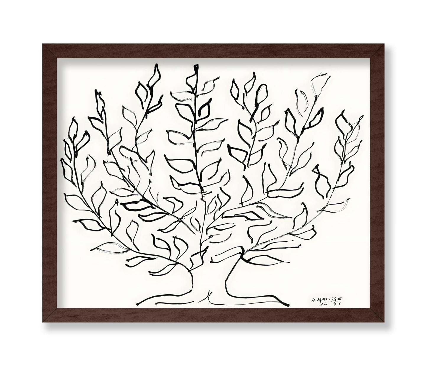 Henri Matisse - Plain Tree No2