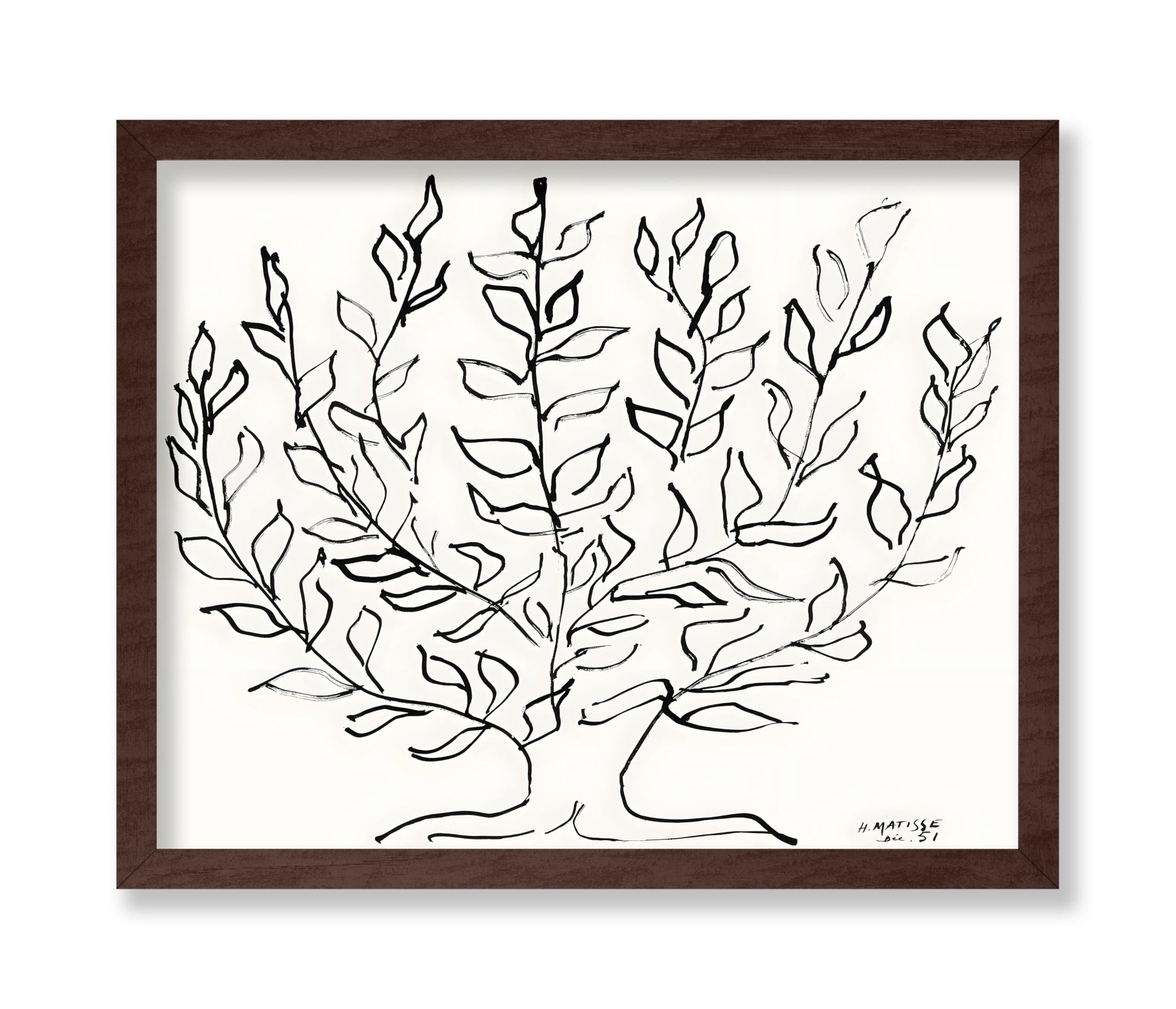 Henri Matisse - Plain Tree No2