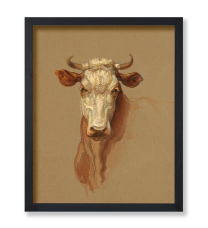Drawing, Two Studies. Cattle