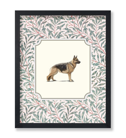 German Shepherd