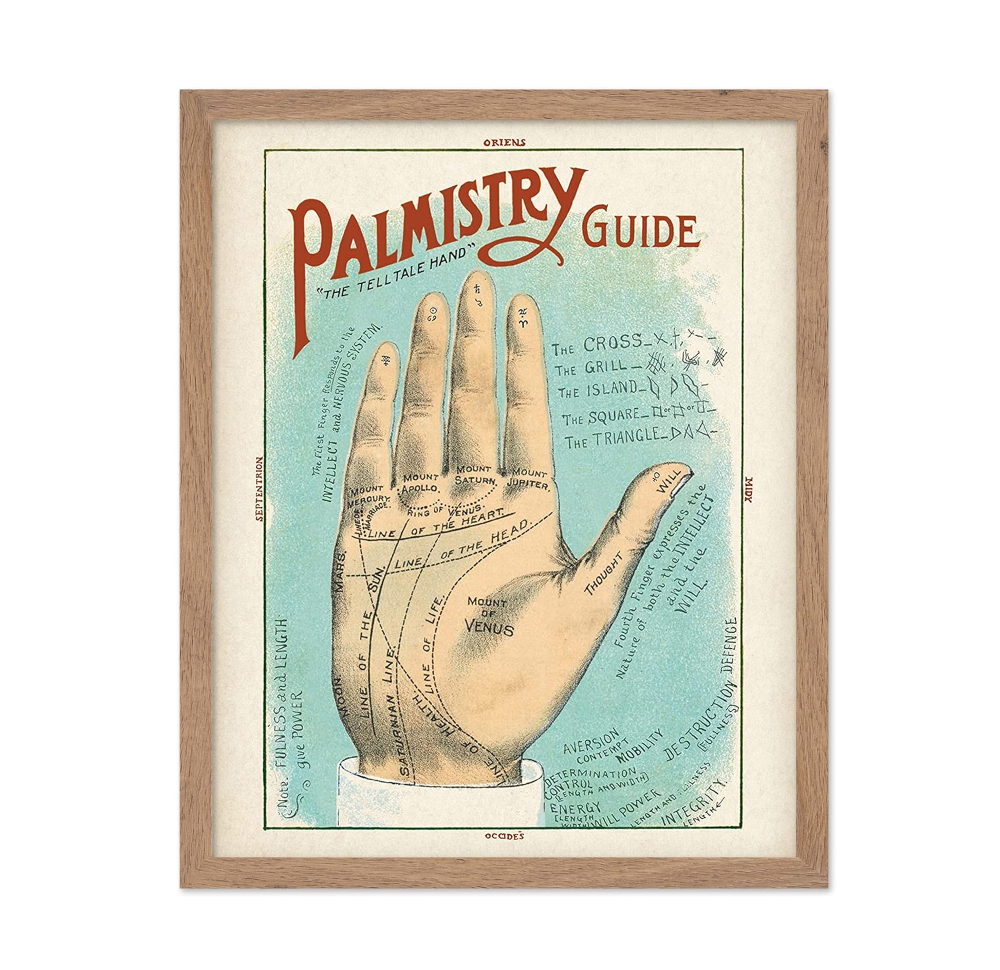 Palmistry Guide