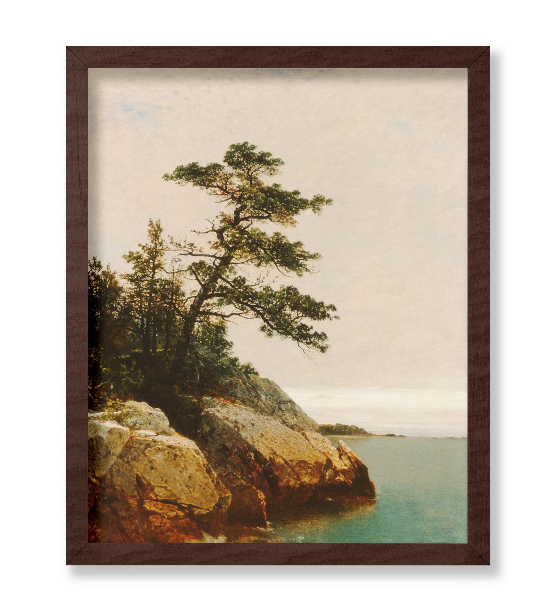 The Old Pine