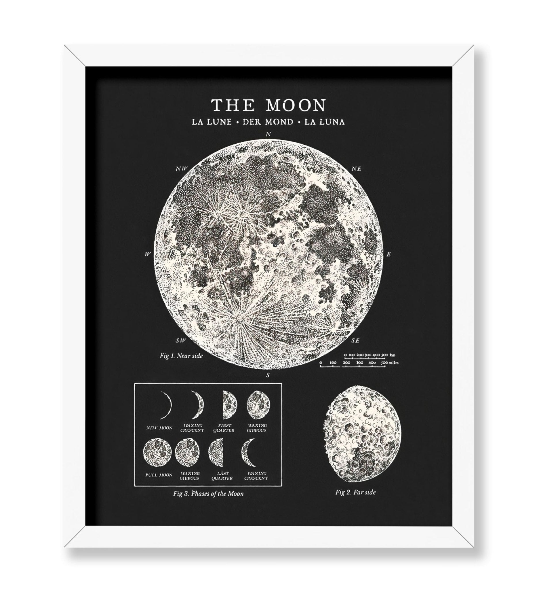 The Moon No3