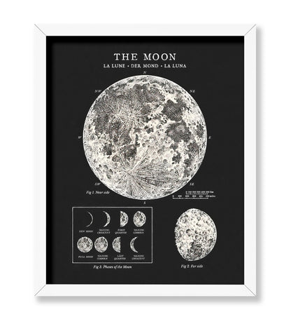 The Moon No3