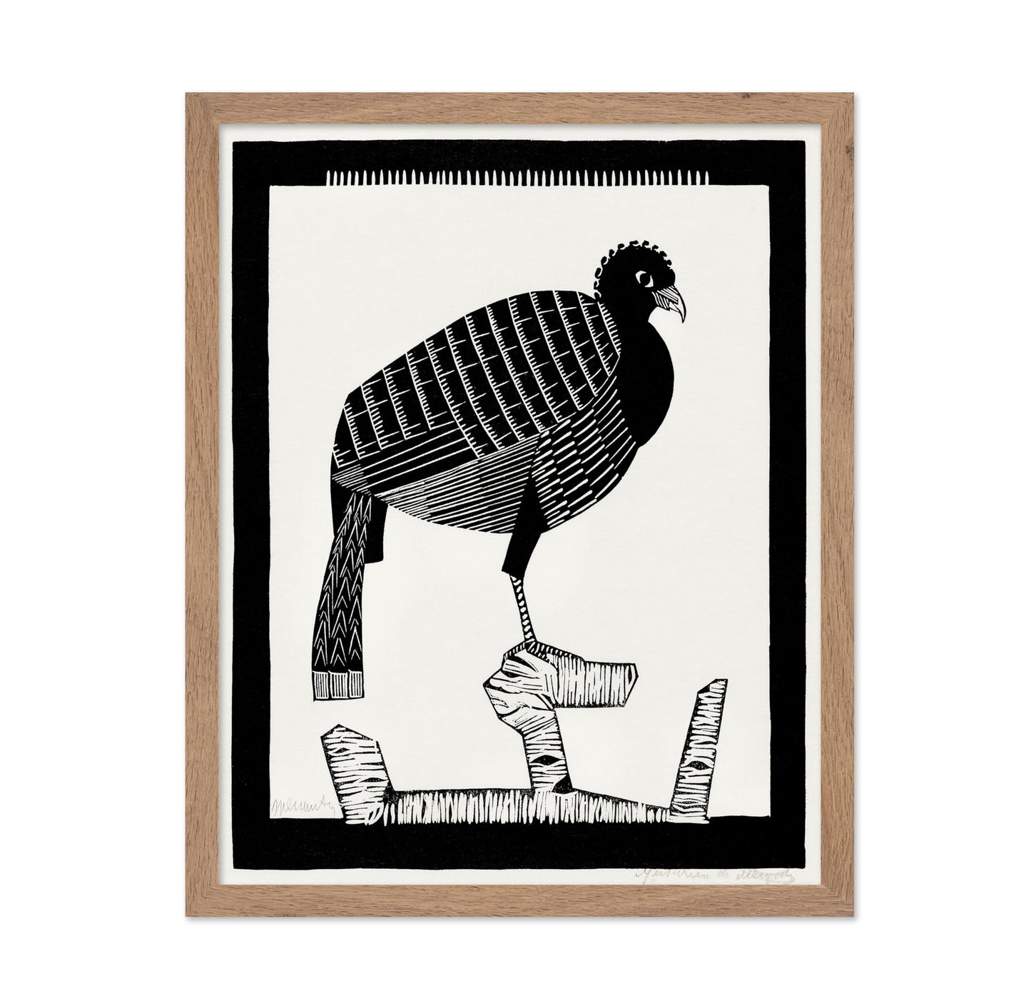 Pauwies Bird