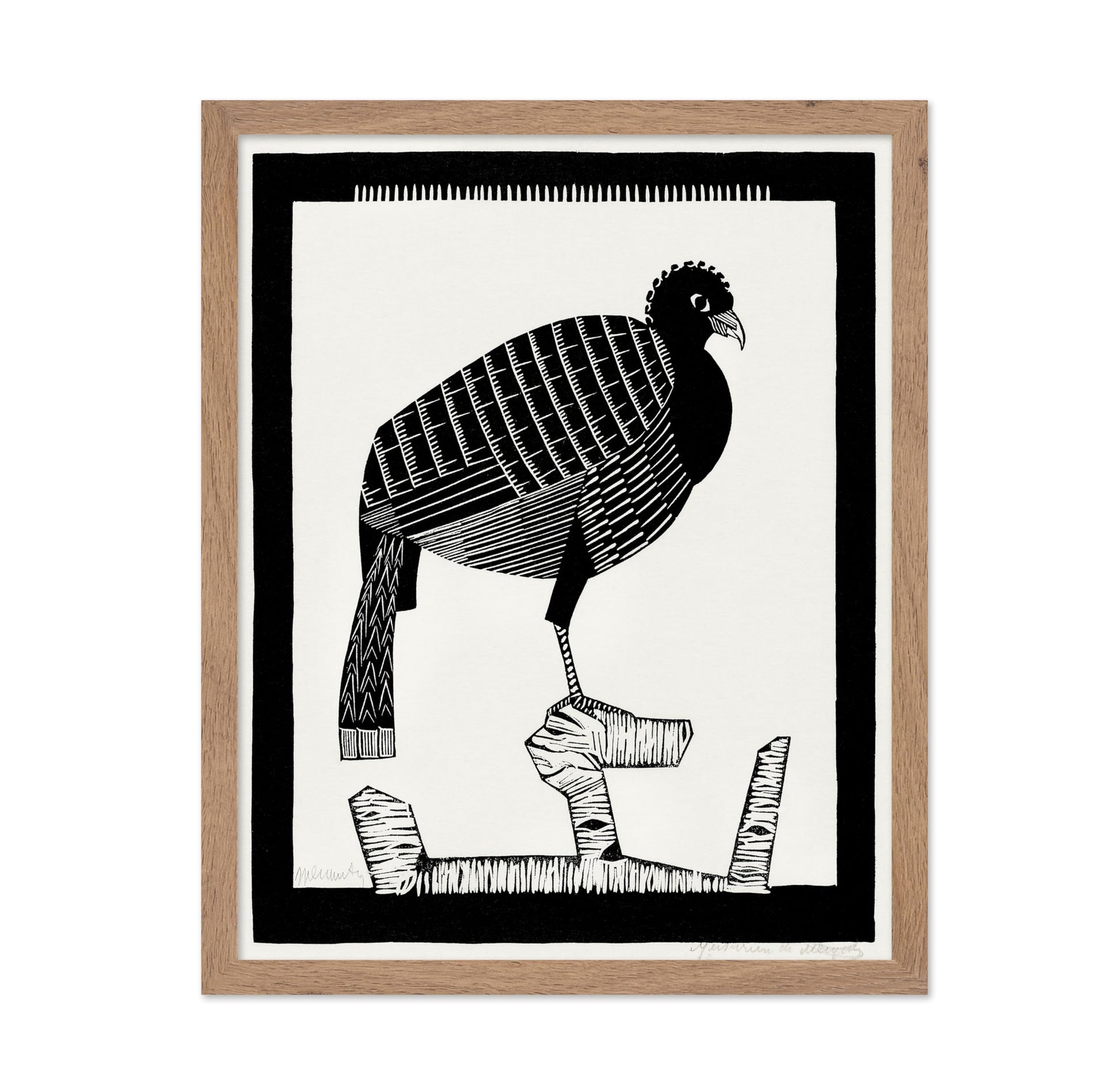 Pauwies Bird
