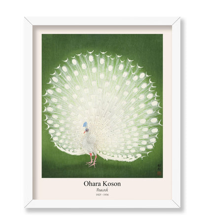 Ohara Koson - Peacock No2