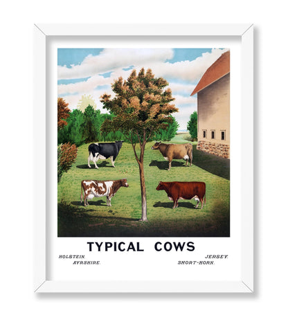 Typical Cows