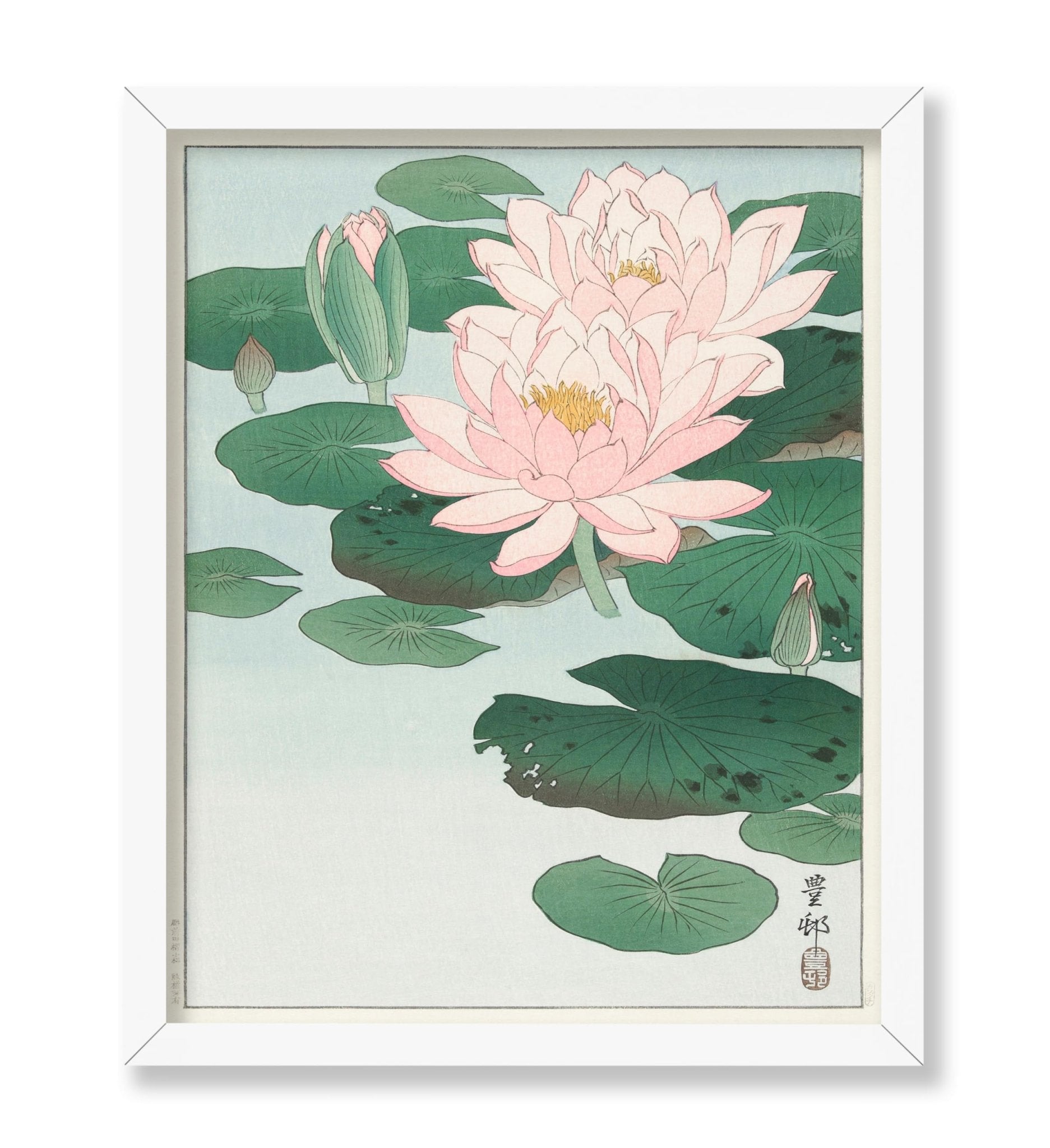 Ohara Koson - Water Lily No4