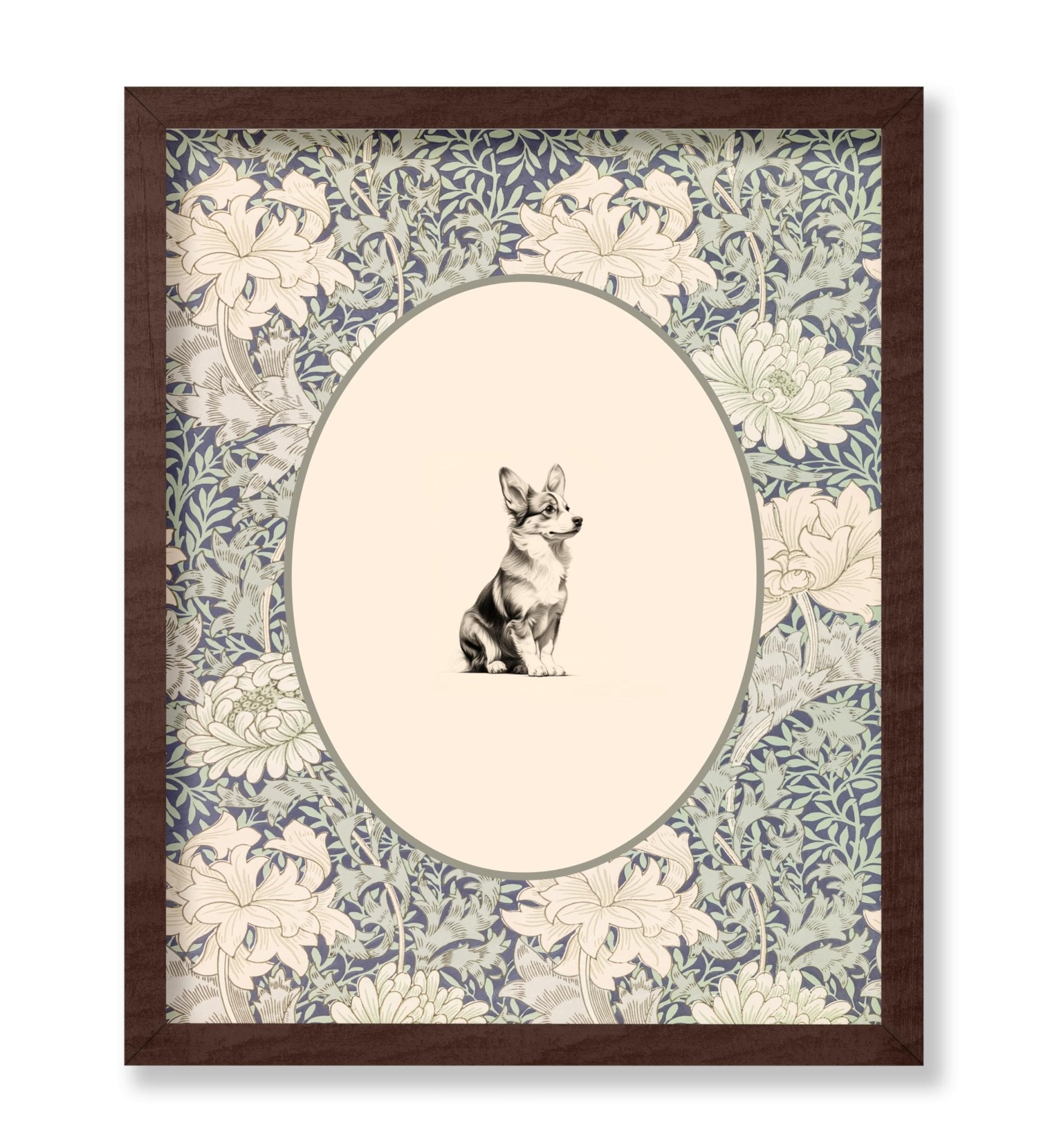 Pembroke Welsh Corgi