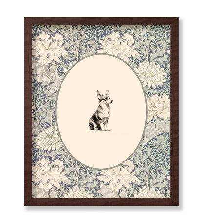 Pembroke Welsh Corgi