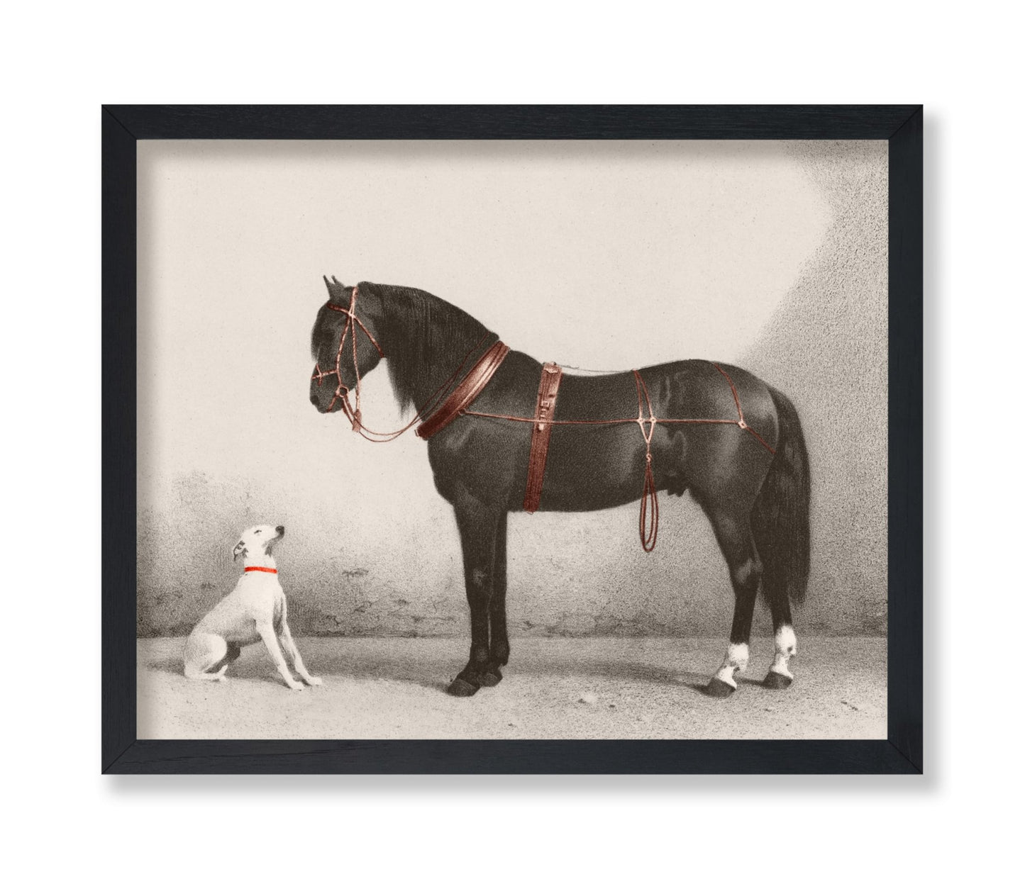 Horse and Dog