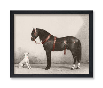 Horse and Dog