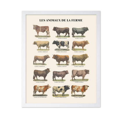 Farm Animals