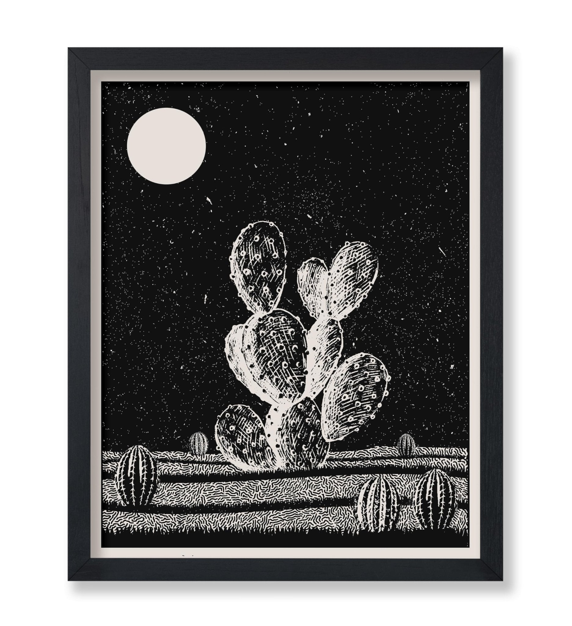 Cactus at Night