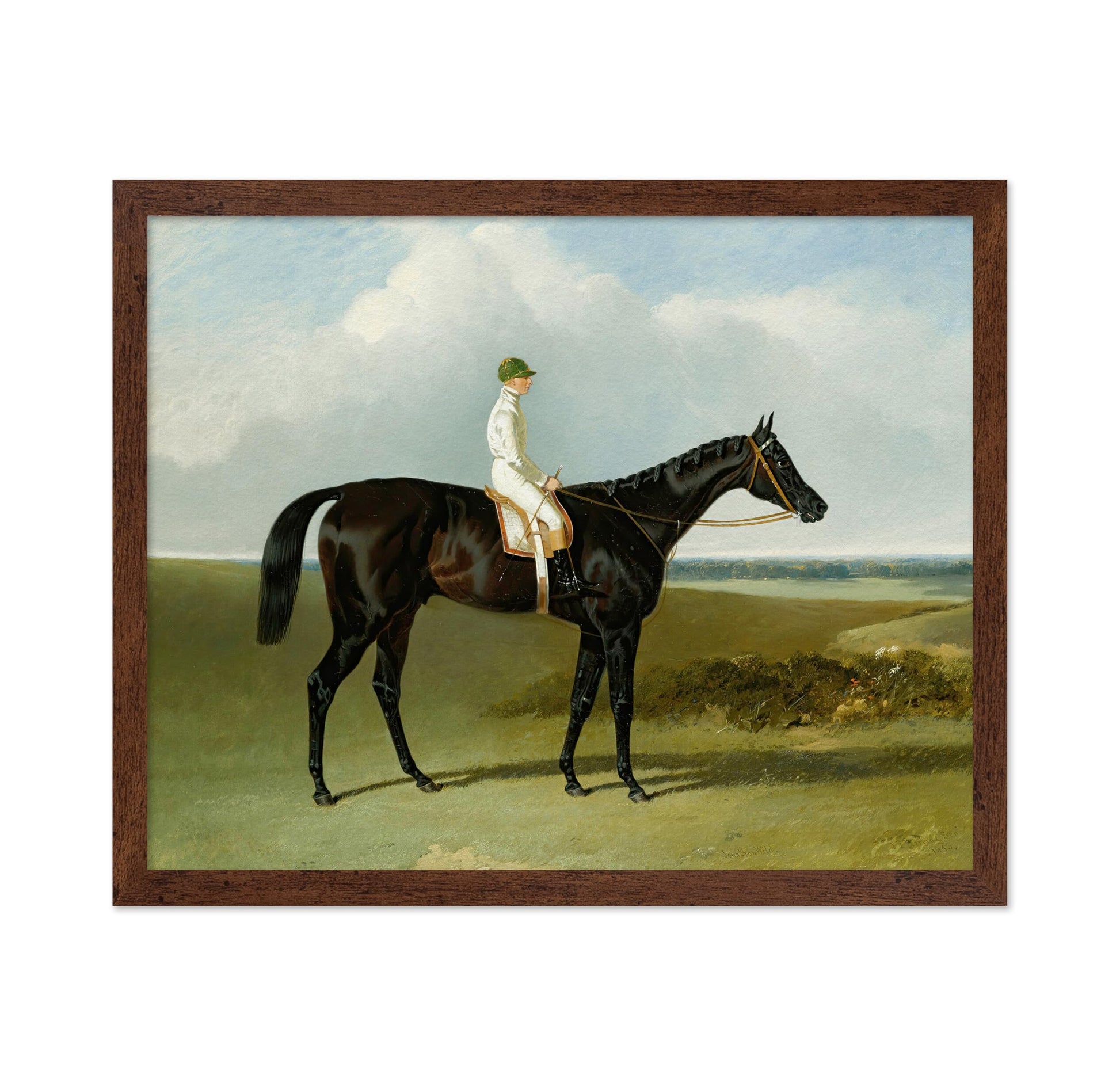 Racehorse with Jockey No1