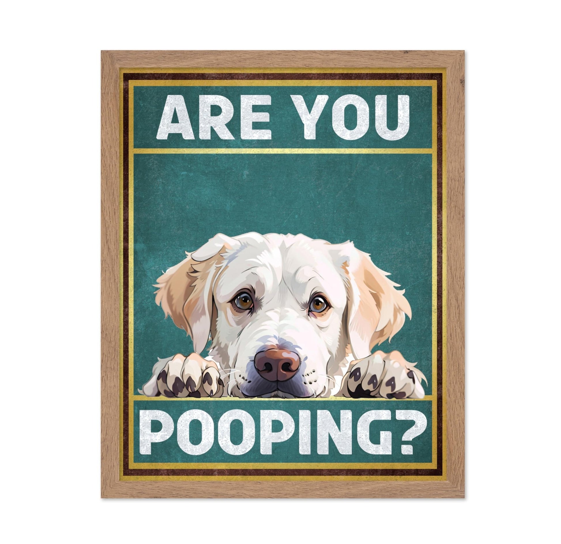 Are You Pooping No6