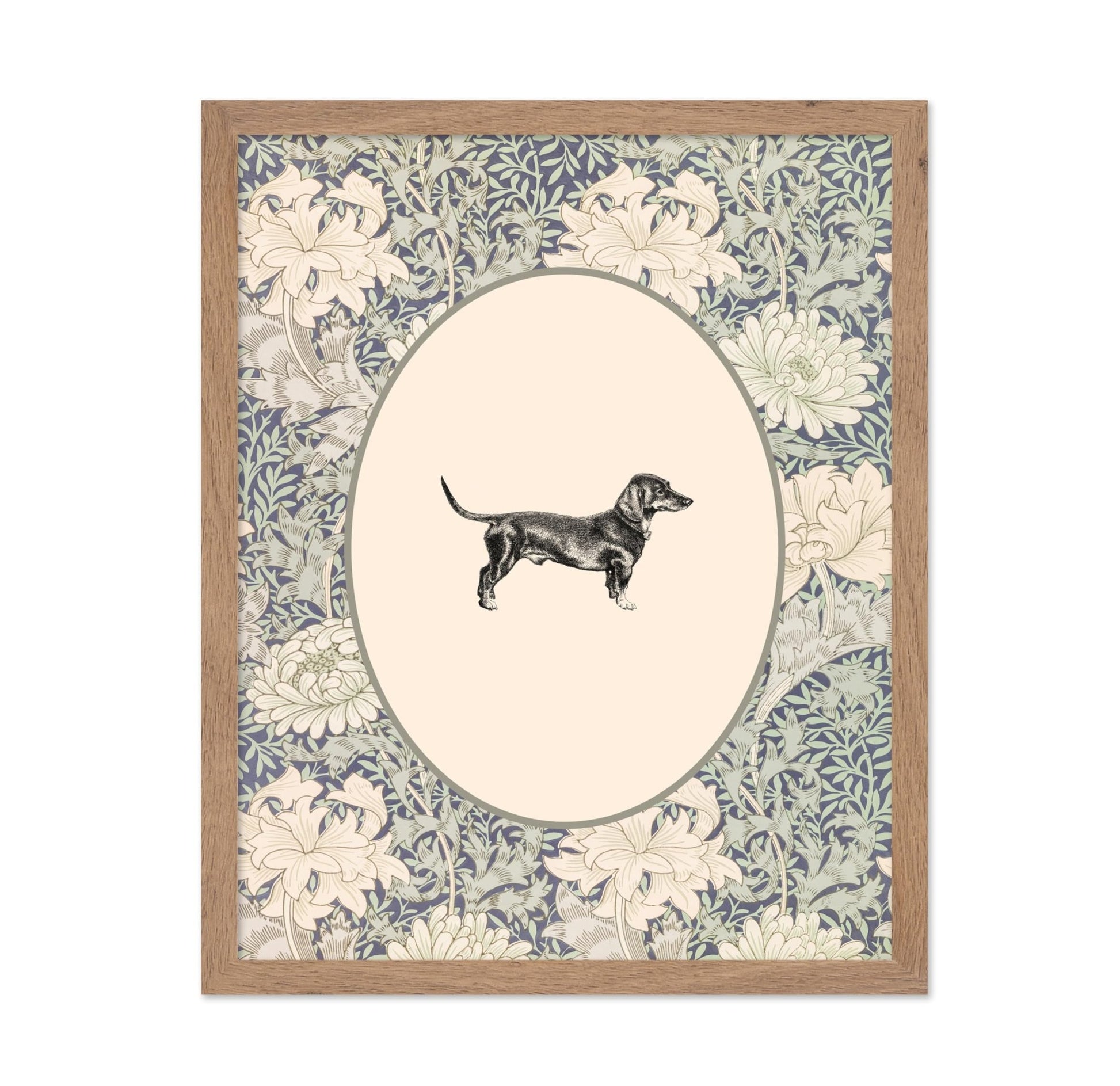 Dachshunds Portrait