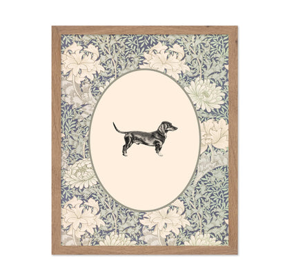 Dachshunds Portrait