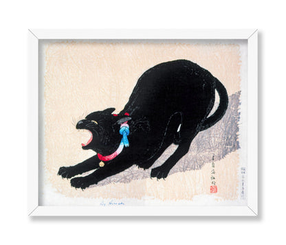 Black Cat Hissing