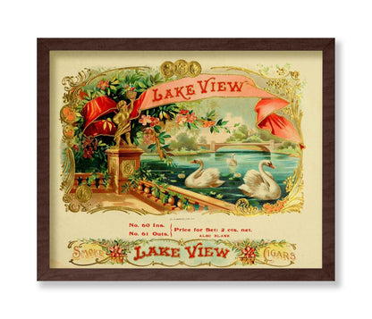 Lake View Swan