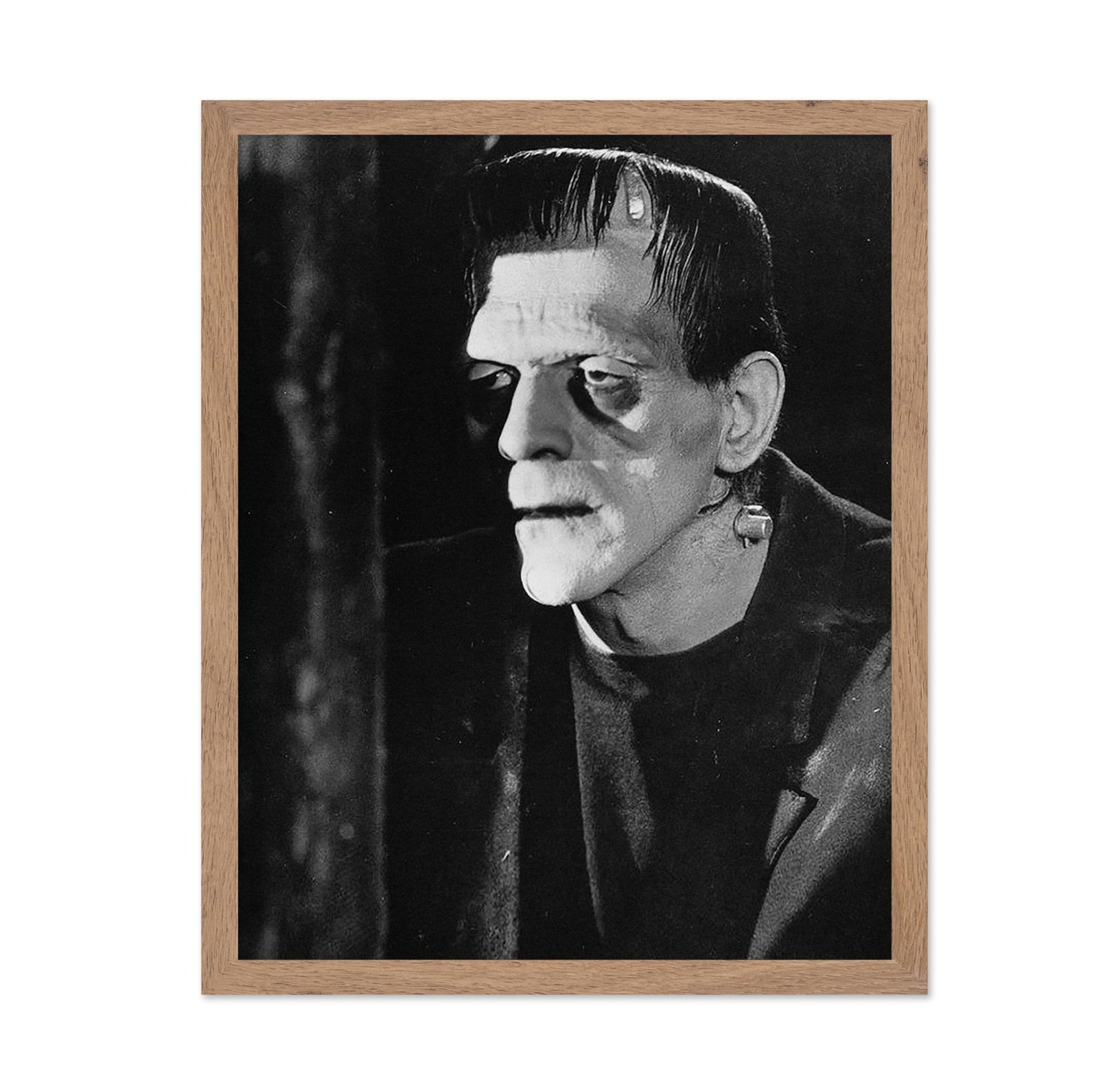 Frankenstein's Monster No2