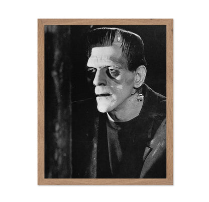 Frankenstein's Monster No2