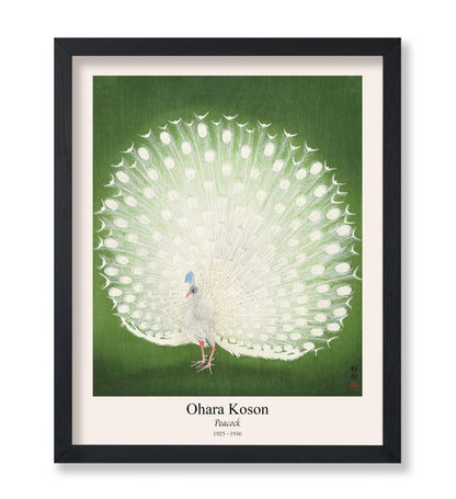 Ohara Koson - Peacock No2