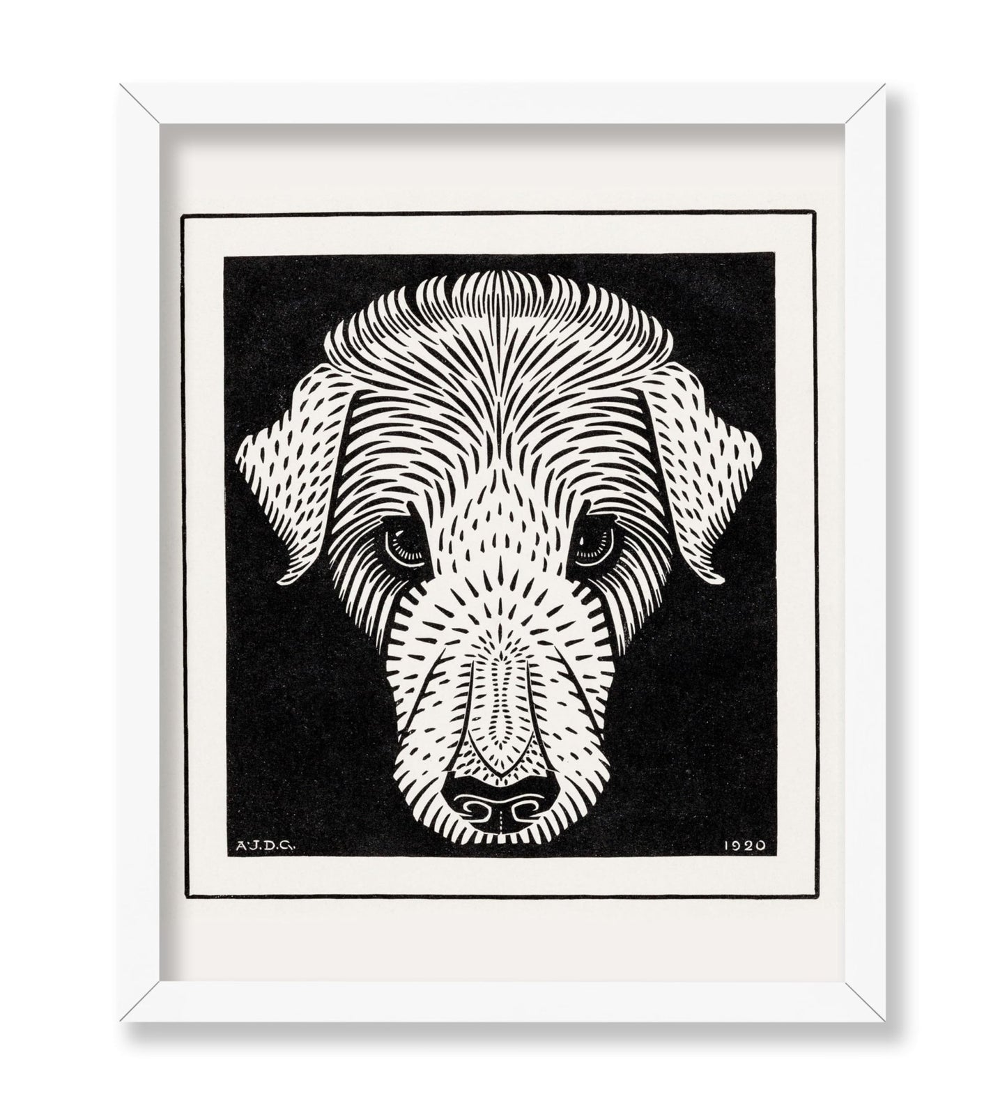 Dog's Head