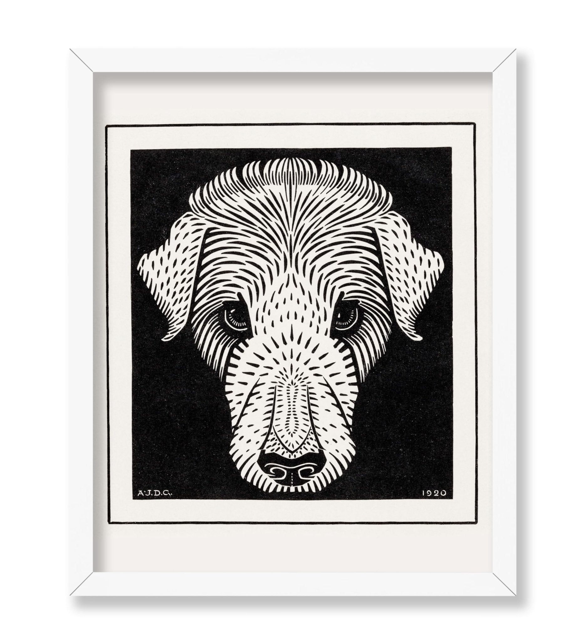 Dog's Head