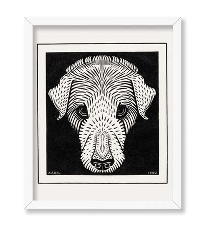 Dog's Head