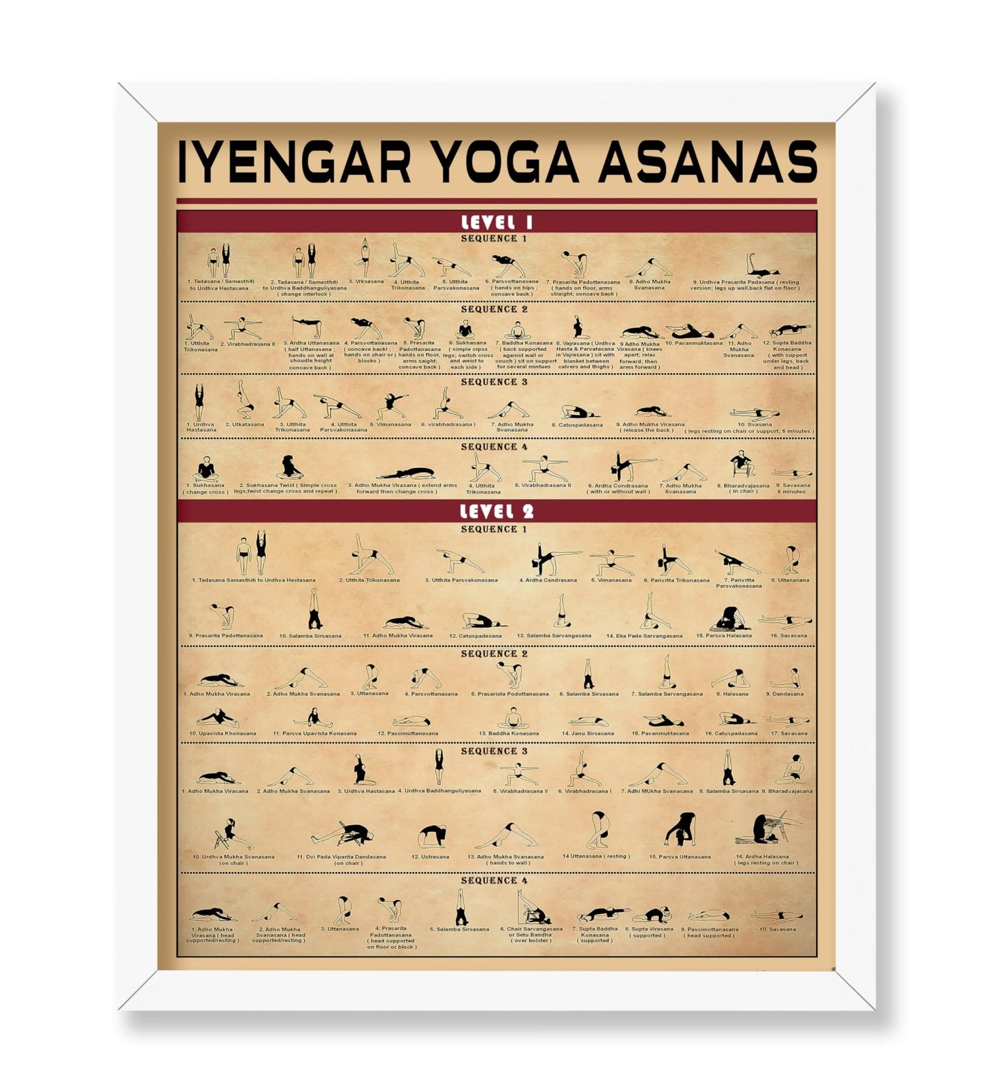 Yoga Knowledge No1