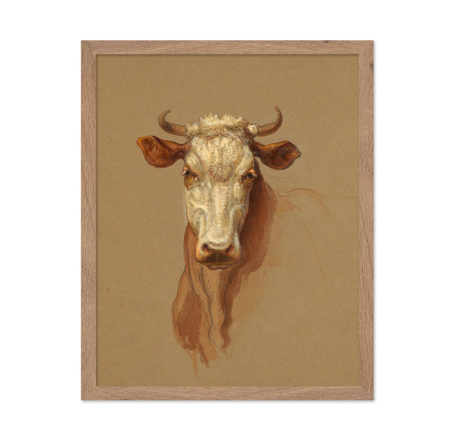 Drawing, Two Studies. Cattle