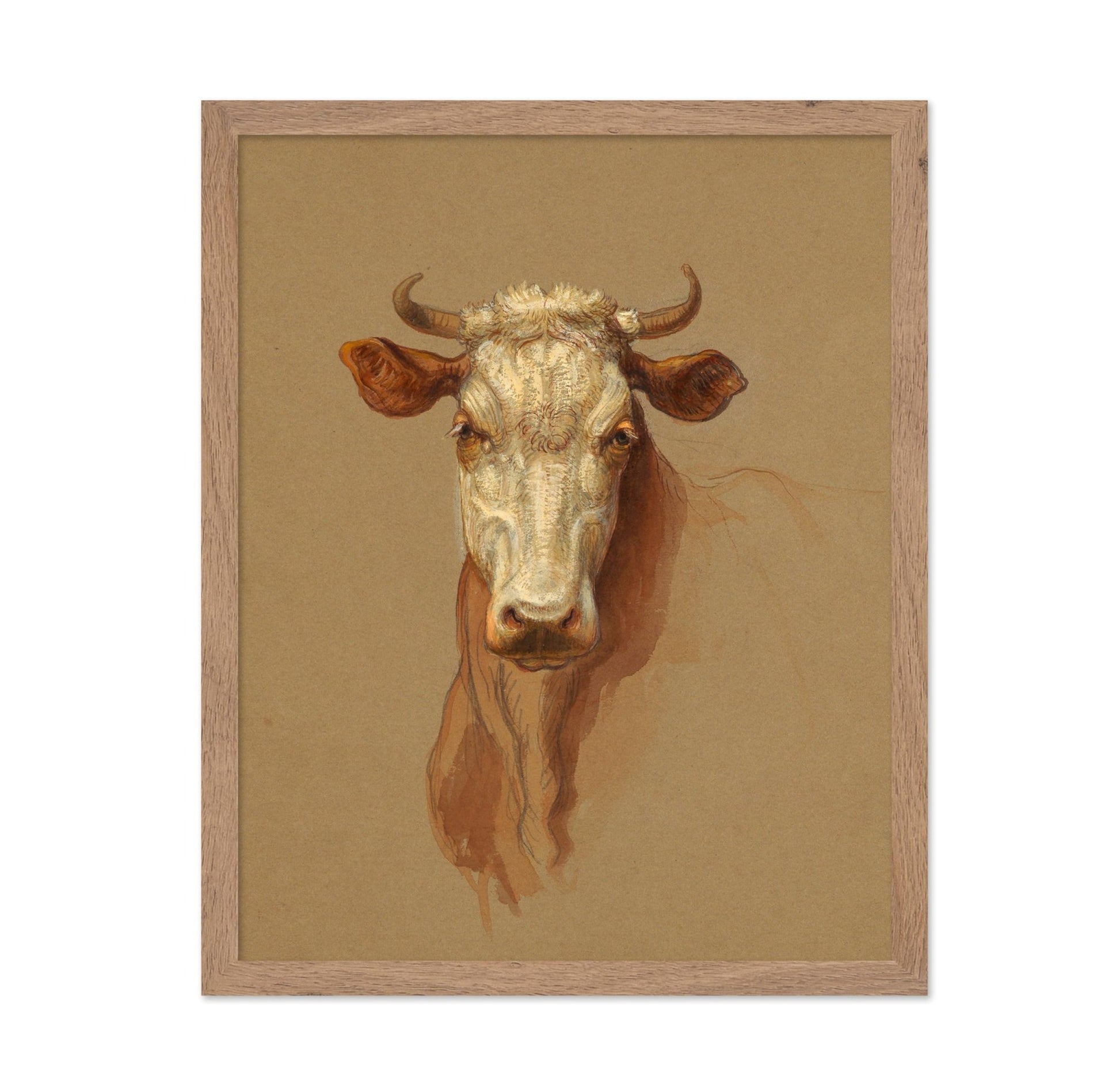 Drawing, Two Studies. Cattle