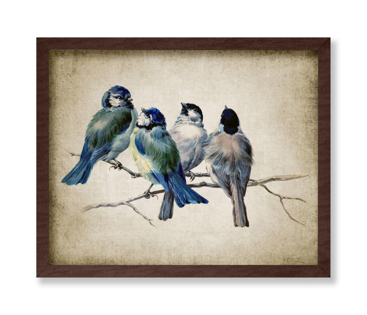 Blue Birds