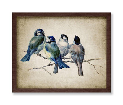 Blue Birds