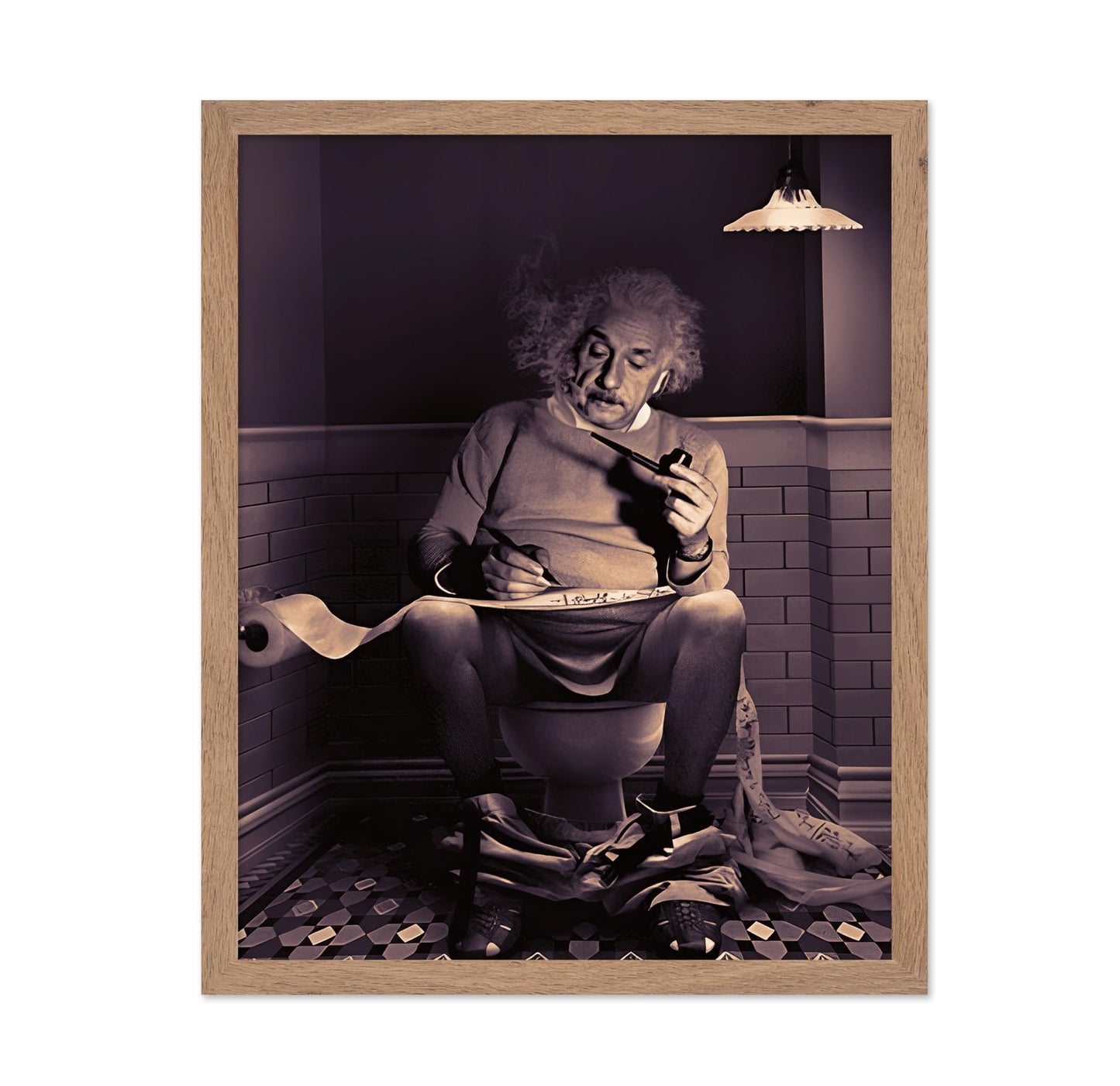 Einstein Sitting on Toilet