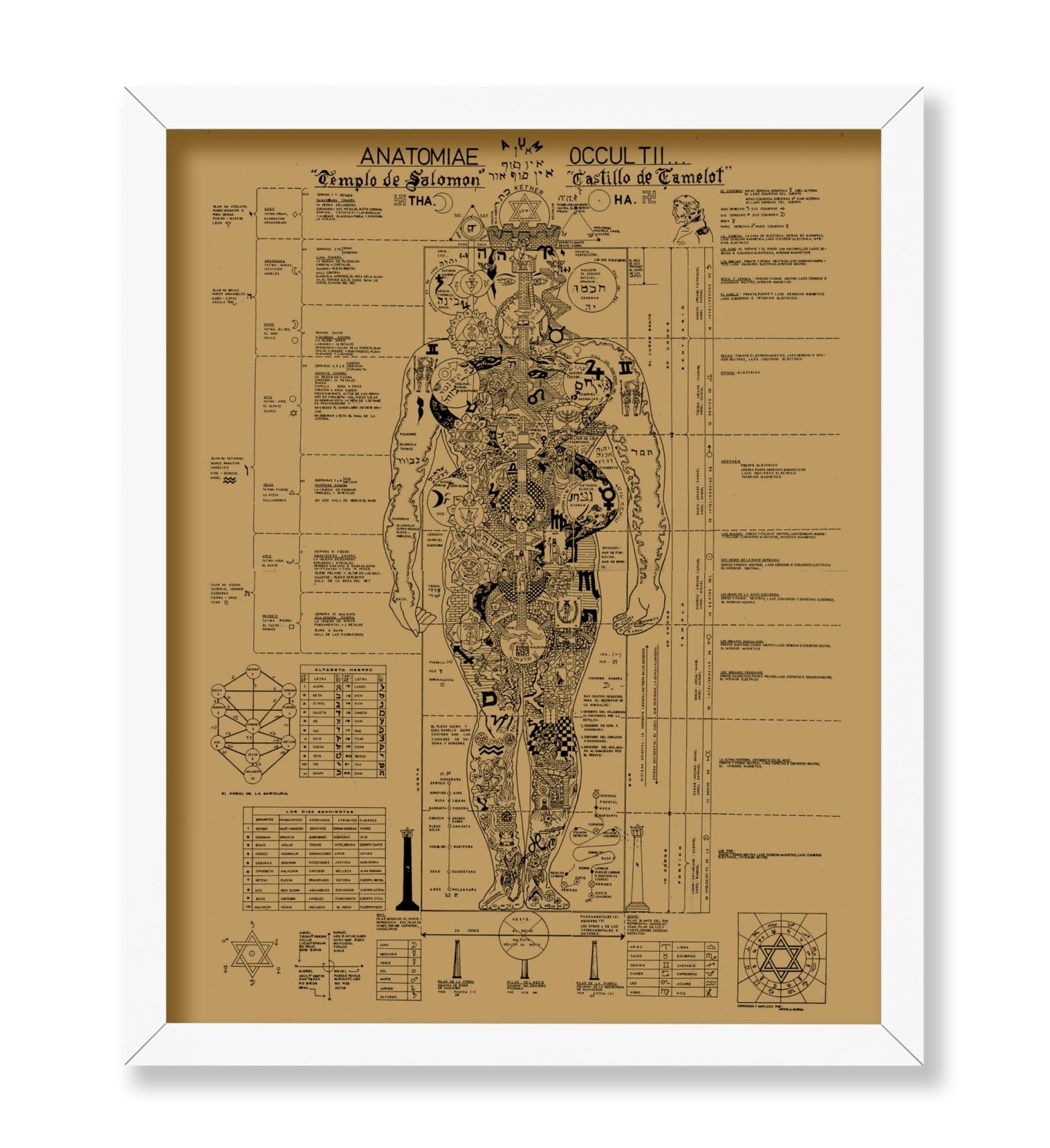 Occult Anatomy