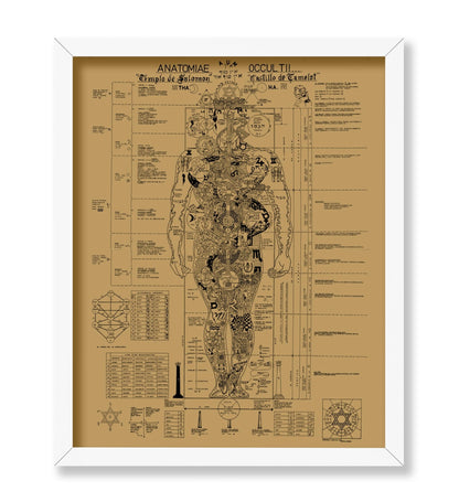 Occult Anatomy