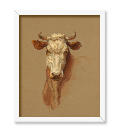 Drawing, Two Studies. Cattle